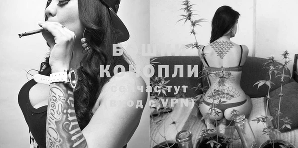 таблы Гусев