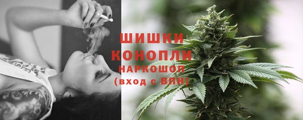 таблы Гусев