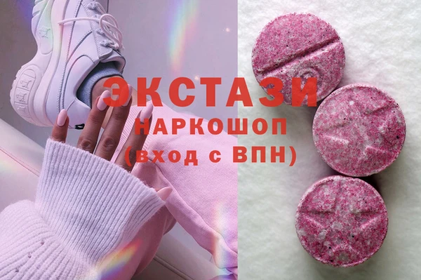 таблы Гусев