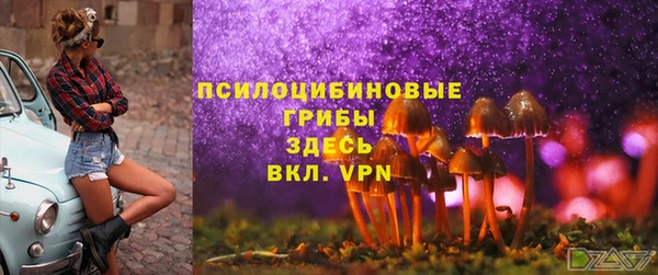 таблы Гусев