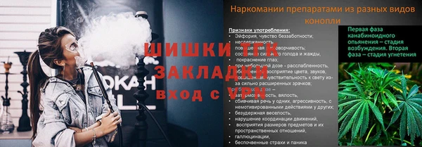 гашик Михайловка