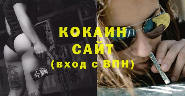 гашик Михайловка